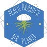 Beach Paradise air plants