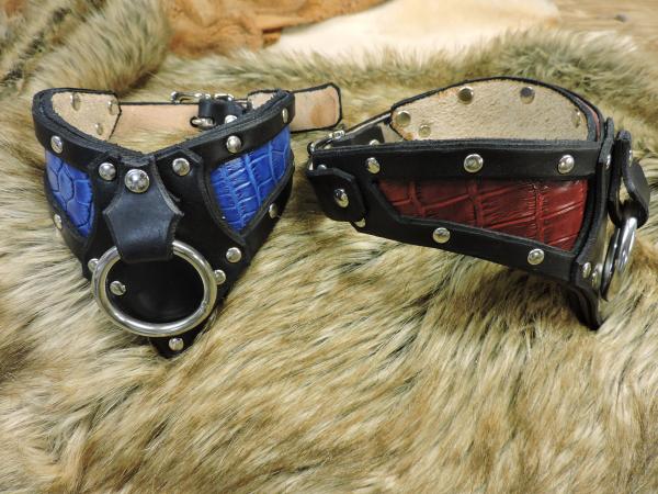 leather collars picture