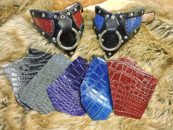 leather collars picture