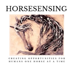 HorseSensing logo