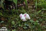 Felted Sleeping Bunny