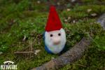 Felted Gnome with Red Hat