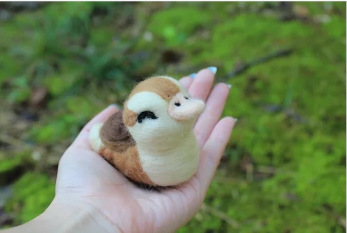 turtle duck plush avatar