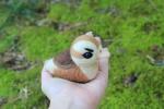 Felted Angry Baby Turtle Duck