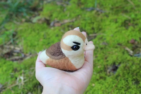Felted Angry Baby Turtle Duck
