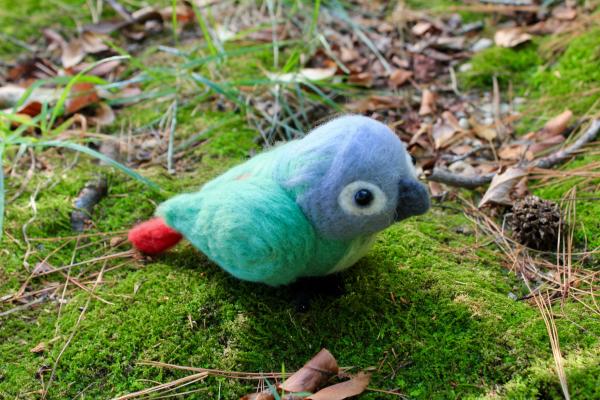 Felted Green Cheek Conure Bird Sculpture picture