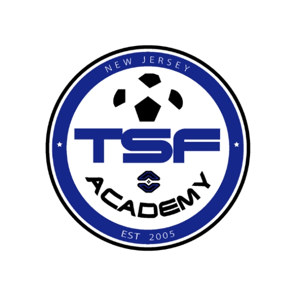 TSFAcademy User Profile