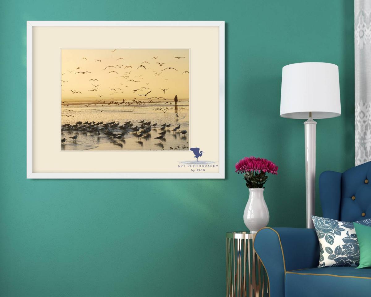 Morning Beach Walk Nature Photograph for Home or Office, Color Landscape Photo, Physical Print, Original Wall Art for Interior Design picture