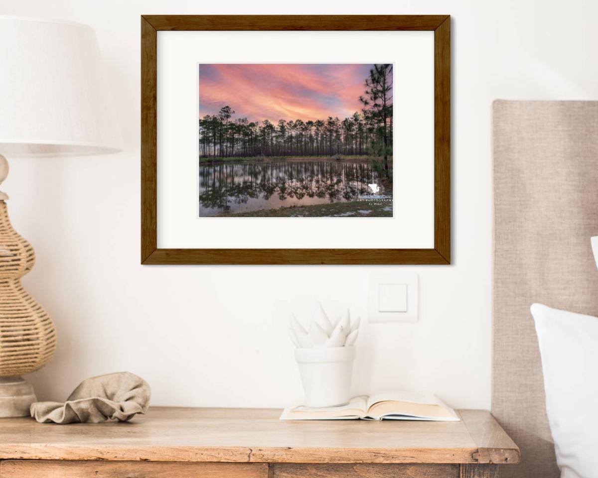 Evergreen Sunrise Color Landscape Photo for Interior Design, Nature Photography, Physical Print, Original Wall Artwork for Home or Office picture