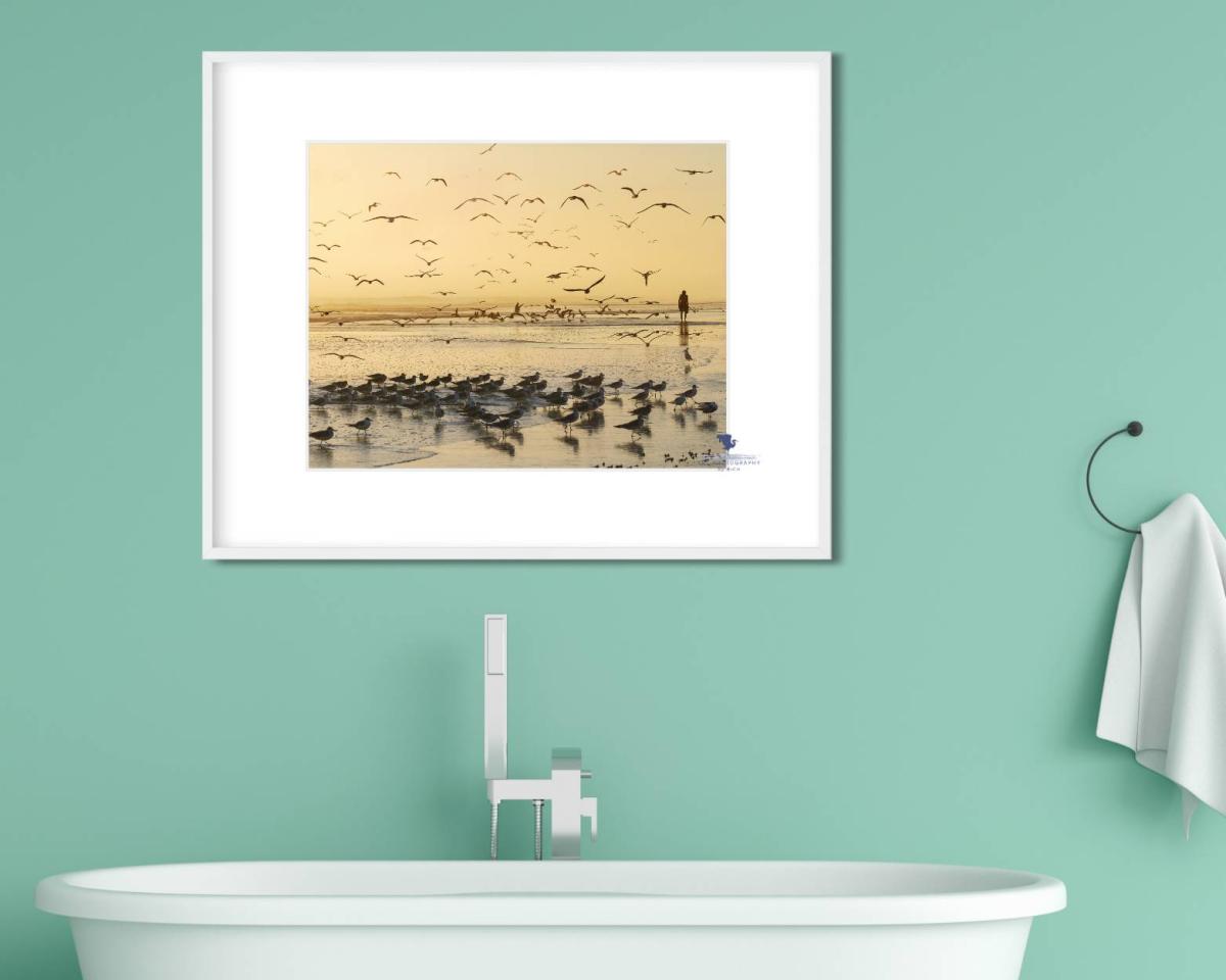 Morning Beach Walk Nature Photograph for Home or Office, Color Landscape Photo, Physical Print, Original Wall Art for Interior Design picture