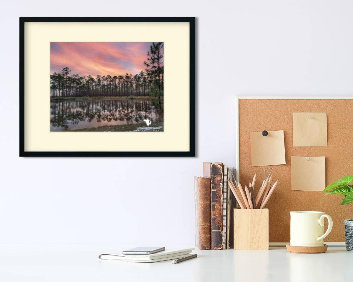 Evergreen Sunrise Color Landscape Photo for Interior Design, Nature Photography, Physical Print, Original Wall Artwork for Home or Office picture