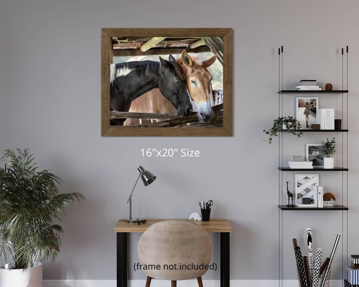Horse Friendship, Fine Art Photograph, Farm House Décor, Horse Photograph, Rustic Photo Art, Draft Horse Wall Art picture