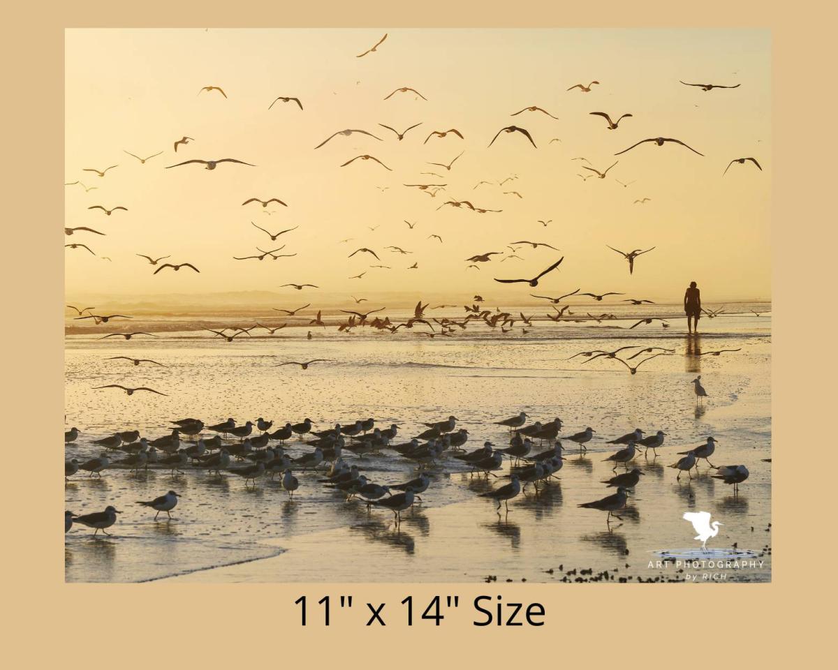 Morning Beach Walk Nature Photograph for Home or Office, Color Landscape Photo, Physical Print, Original Wall Art for Interior Design picture