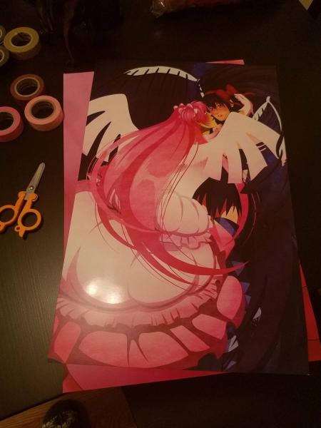 Rebellion Story Madoka and Homura print picture