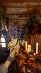 Bloom floral designs