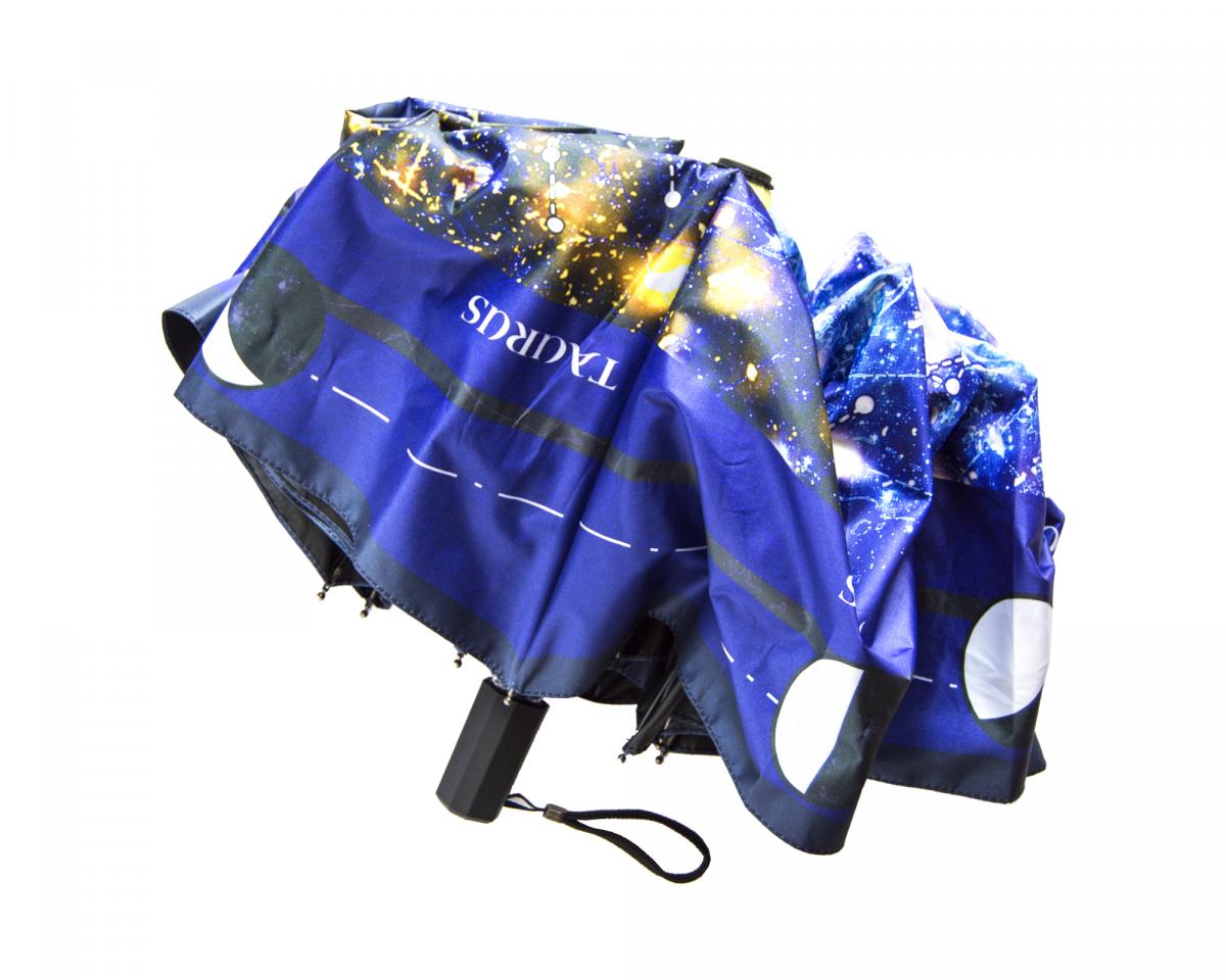 Astrology Umbrella picture