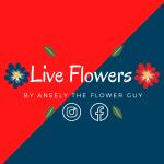 Live Flowers by Ansely The Flower Guy
