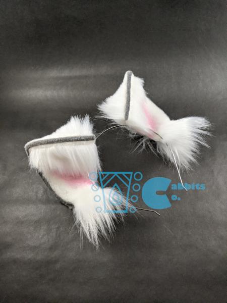 White and Gray Kit Ears picture