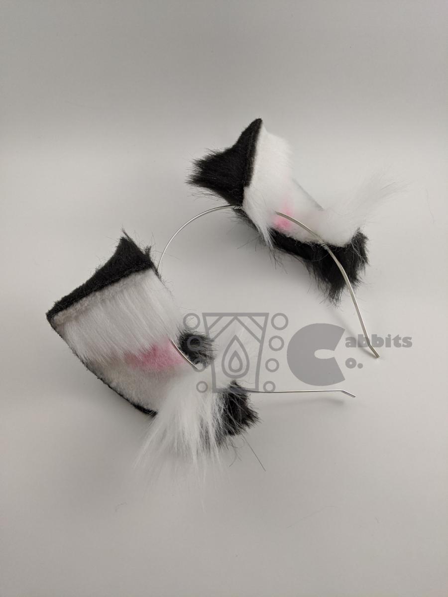 Mini Kitten Ears in Black and White picture