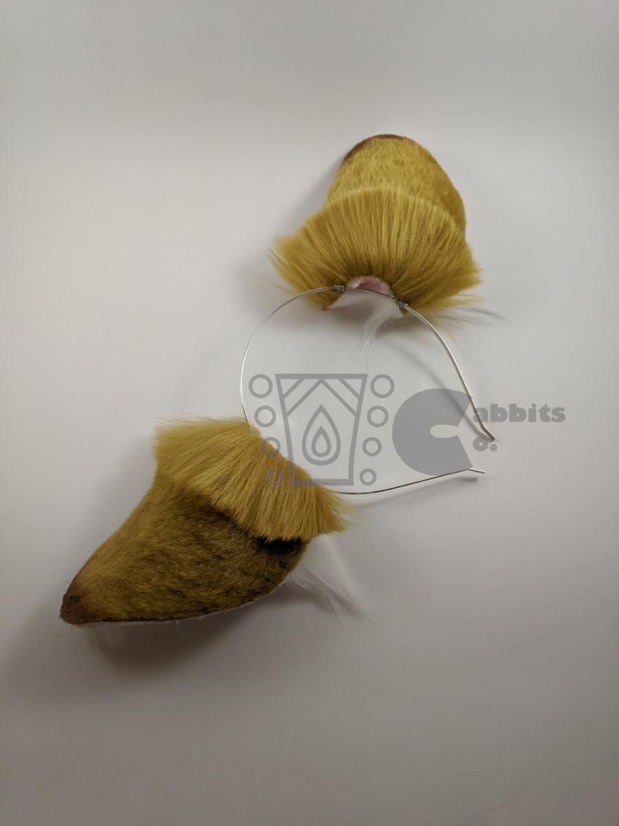 Deer ears in Caramel picture