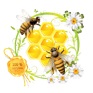 Alder Creek Honey