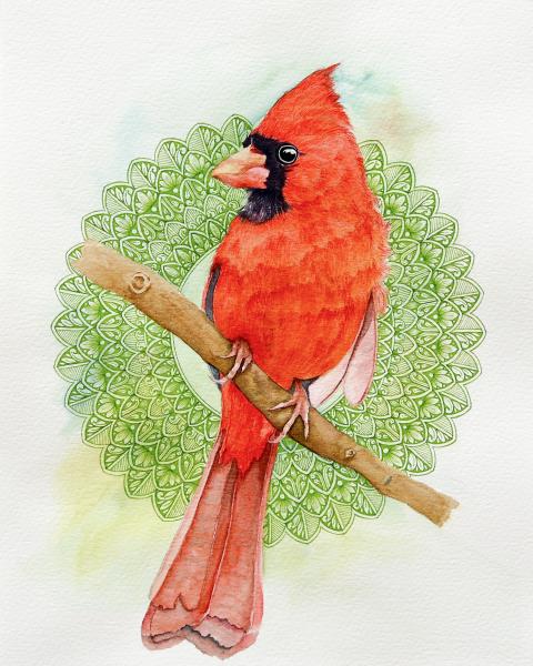 NC Red Cardinal Mandala