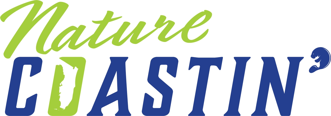 Thank you to our Sponsors