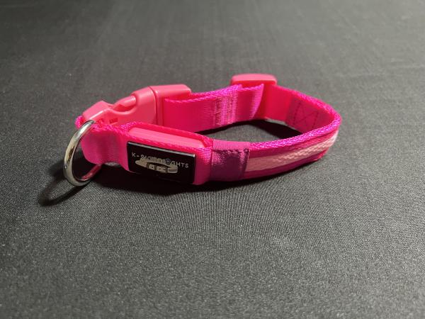 Small Pink LED Dog Collar