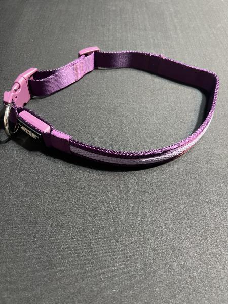 Large/Extra Large Purple LED Dog Collar